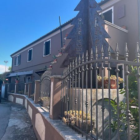 Sinilu B&B Silvi Paese Εξωτερικό φωτογραφία